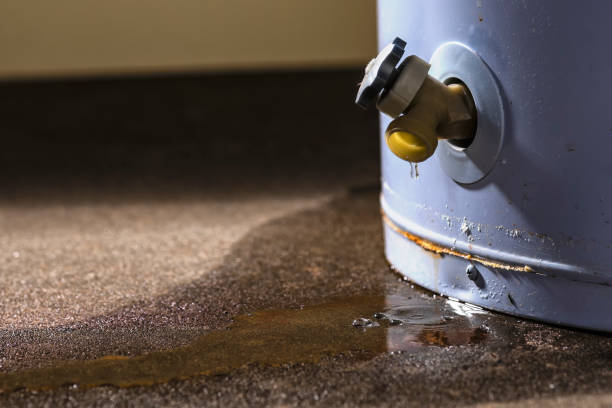 Best Local water damage restoration  in Gurdon, AR