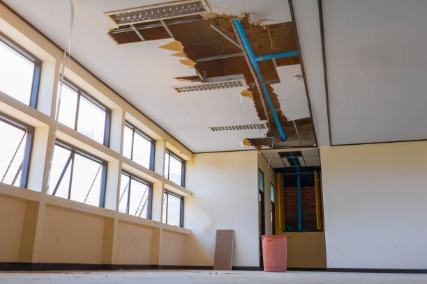 Best Water damage restoration company  in Gurdon, AR