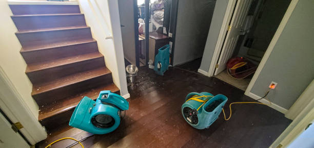 Best Carpet water damage restoration  in Gurdon, AR