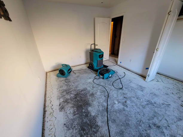  Gurdon, AR Water damage restoration Pros