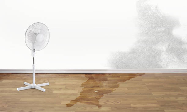 Best Water damage restoration near me  in Gurdon, AR