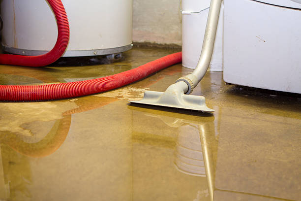 Best Water damage restoration near me  in Gurdon, AR