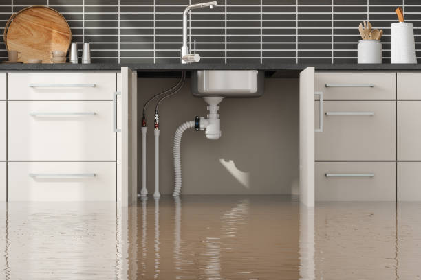 Best Water damage restoration near me  in Gurdon, AR